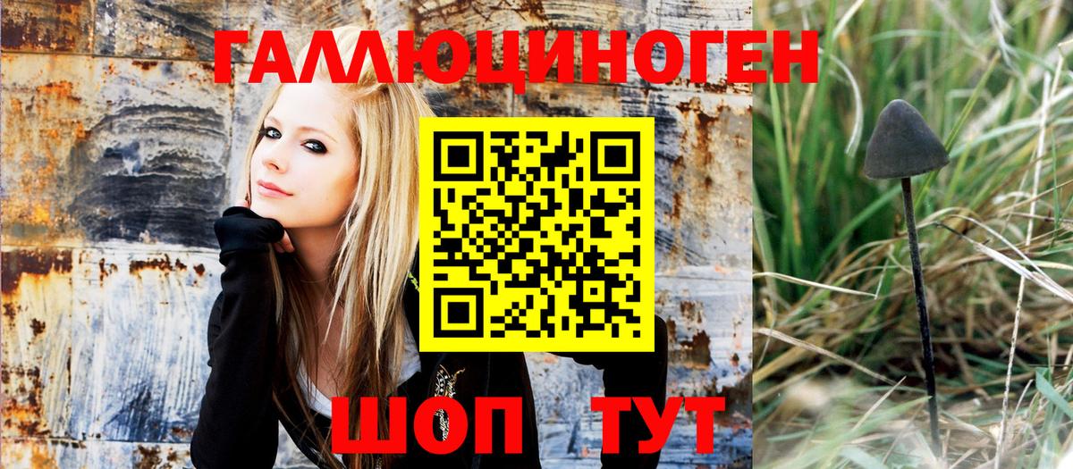 Галлюциногенные грибы Magic Shrooms  Вход с VPN  Балаково  Псилоцибиновые грибы Magic Shrooms 